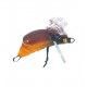 Wobler Iron Claw Insect Lures Baby Bug 2,5cm, kolor 5