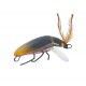 Wobler Iron Claw Insect Lures Big Bug 3cm, kolor 5