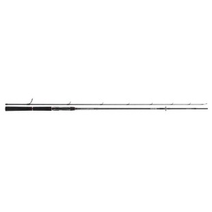 Wędka Daiwa Tournament SW AGS - 2,70m 28-84g