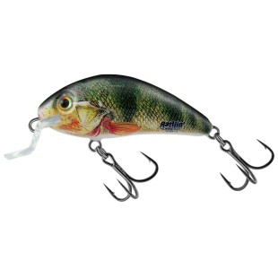 Wobler Salmo Rattlin Hornet Shallow 4,5cm/3g, Supernatural Perch