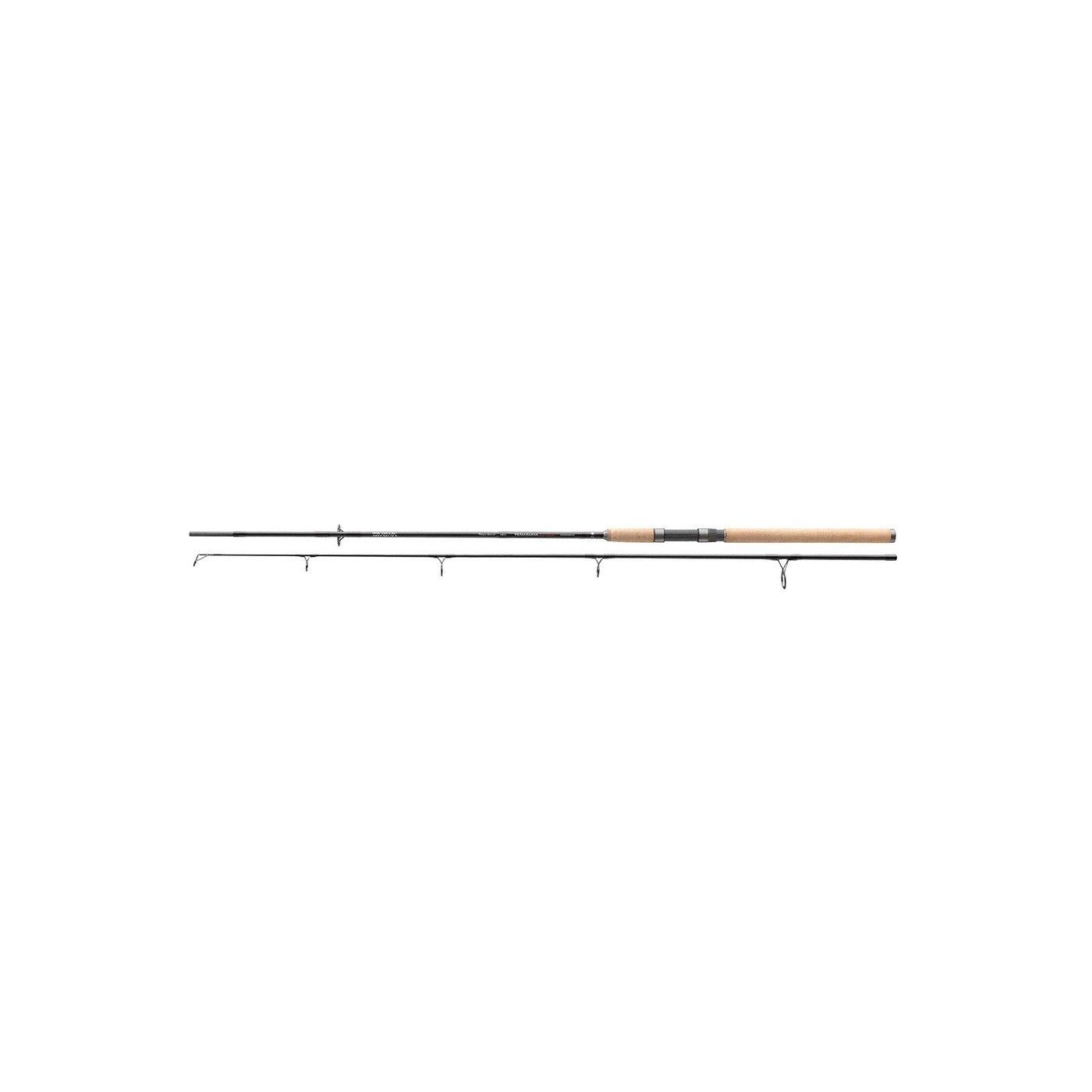 Wędka Team Daiwa Mode 2.0 Taimen - 2,10m 30-120g