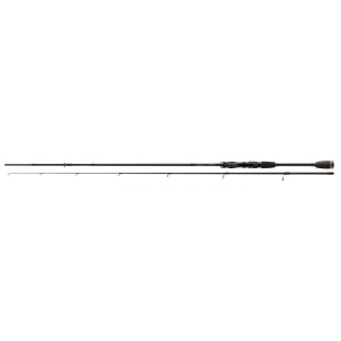 Wędka Cormoran RayCor-X  Spin 2,20m 10-50g