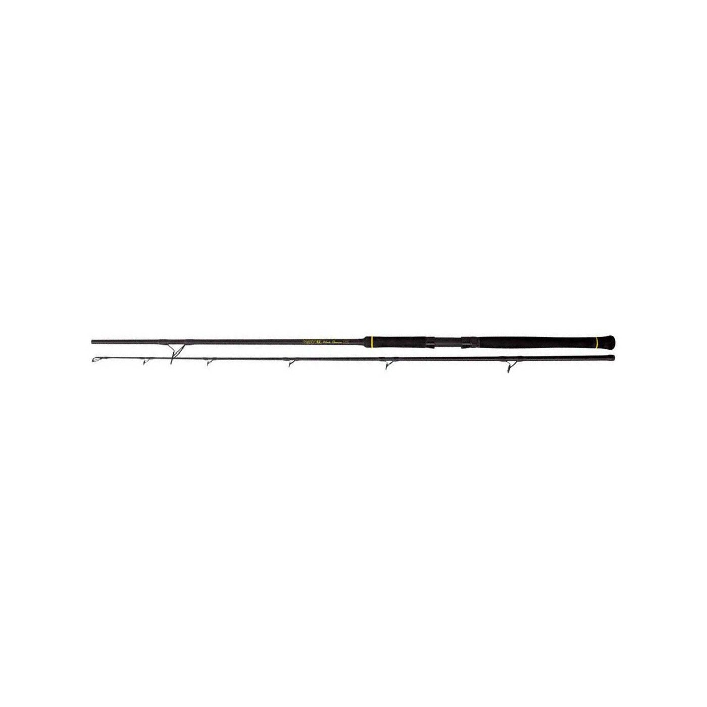 Wędka Black Cat Black Passion Spin - 2,40m 50-200g