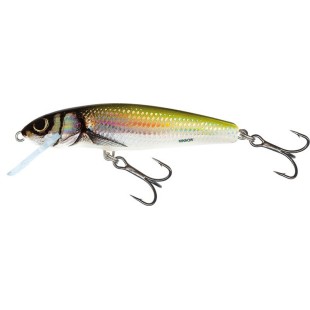 Wobler Salmo Minnow Floating 6cm/4g, Holo Bleak