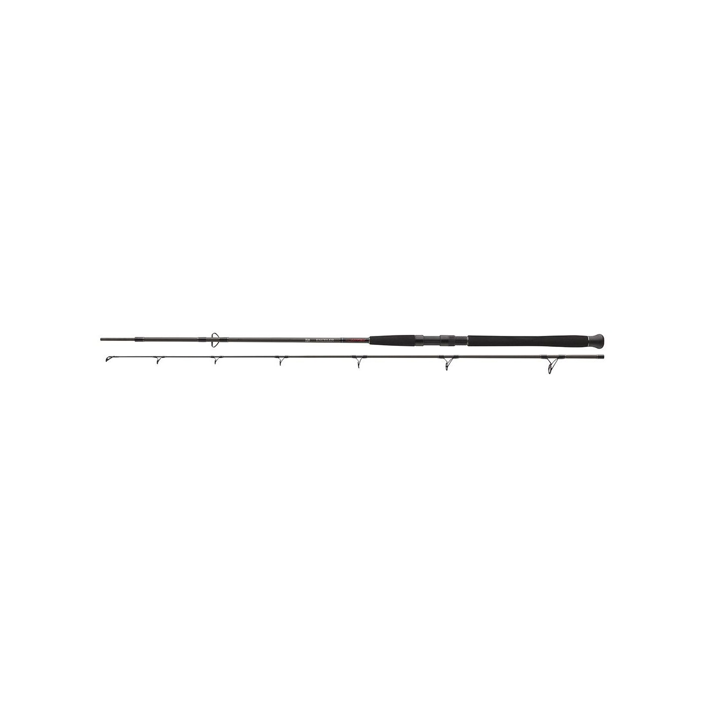 Wędka Daiwa Exceler Catfish Spin - 2,70m do 135g