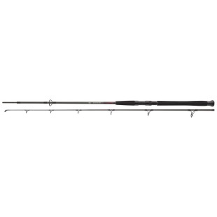 Wędka Daiwa Exceler Catfish Spin - 2,40m do 185g