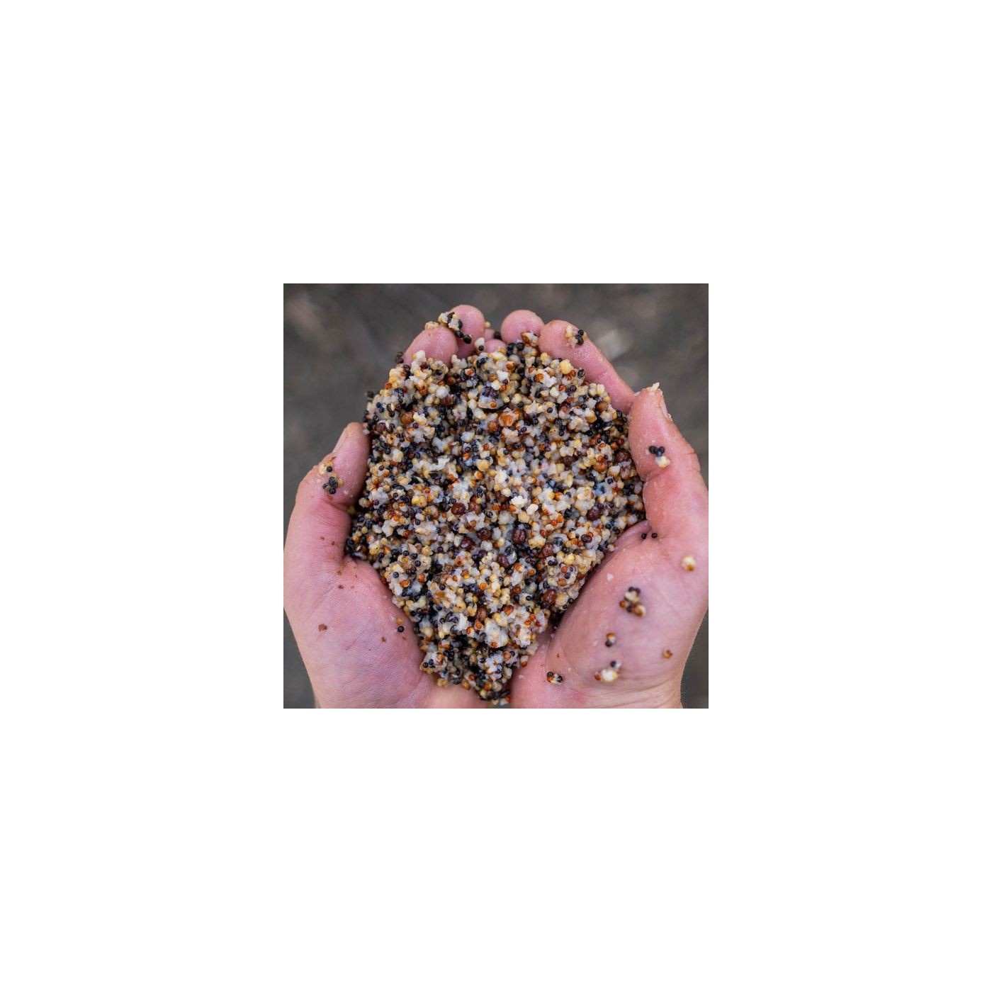 Ziarno zanętowe Nash Small Seed Mix