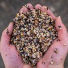 Ziarno zanętowe Nash Small Seed Mix