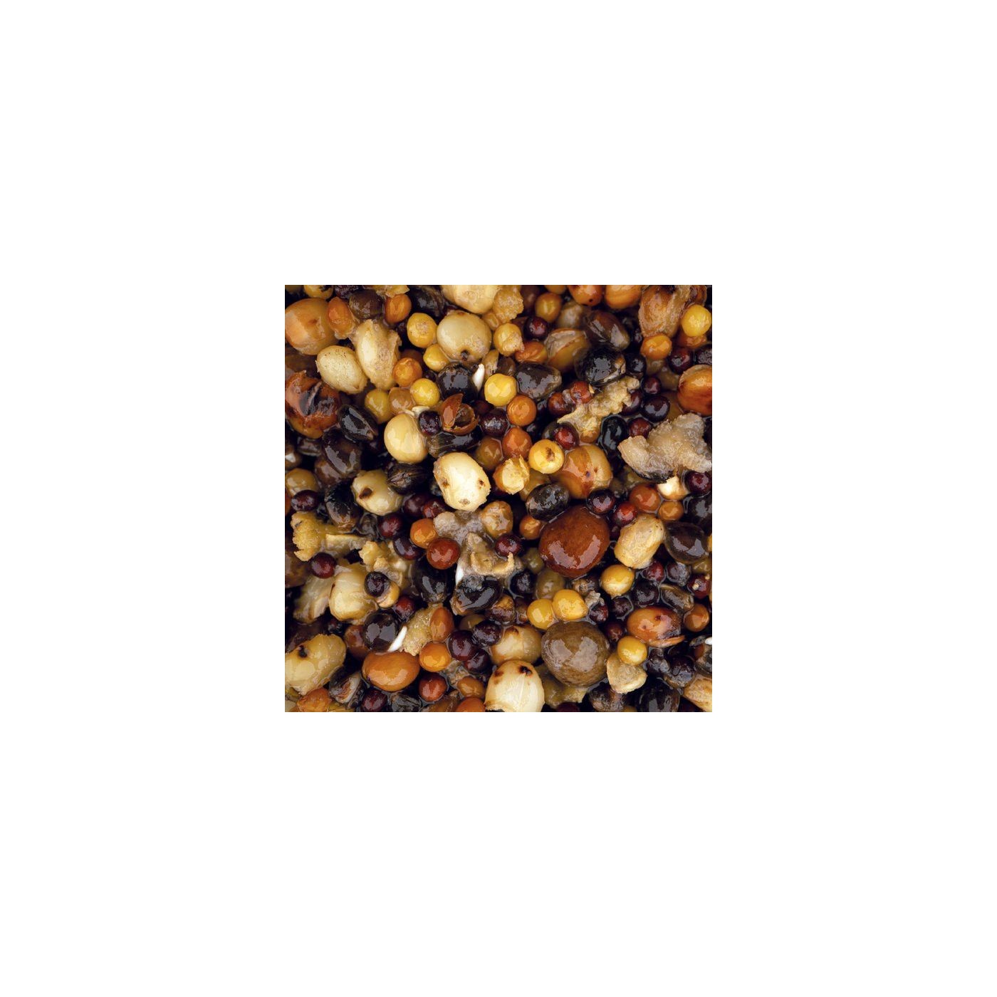 Ziarno zanętowe Nash Small Seed Mix