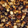 Ziarno zanętowe Nash Small Seed Mix