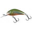 Wobler Salmo Hornet Floating 3,5cm/2,2g, Holo Oikawa
