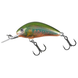 Wobler Salmo Hornet Floating 3,5cm/2,2g, Holo Oikawa