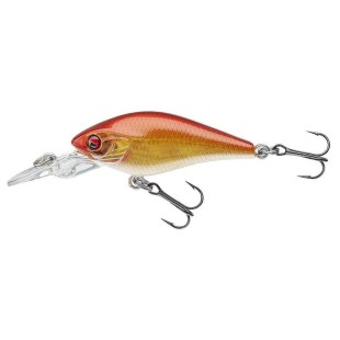 Wobler Daiwa Prorex Baby Crank MR, kolor: live orange bleak, 4cm Wobler Daiwa Prorex Baby Crank MR, kolor: live orange bleak, 4cm
