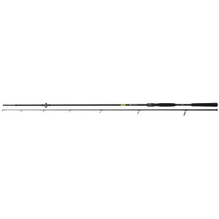 Wędka Daiwa Prorex X Spin - 2,70m 30-70g