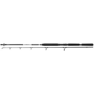 Wędka Daiwa BG Offshore Pilk - 2,70m 50-165g