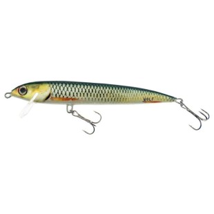 Wobler Hunter Wolf, OL