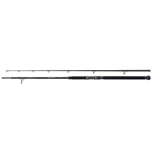 Wędka Shimano Beastmaster Catfish Multi Spin - 2,30m do 200g