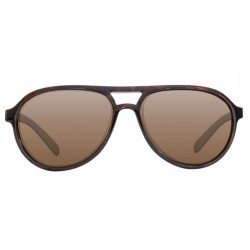 Okulary Korda Sunglasses Aviator Tortoise Frame / Brown Lens