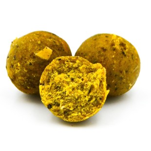 Kulki Massive Baits Eco Boilies 18mm - Scopex
