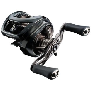 Multiplikator Daiwa 24 Steez SV TW 100L
