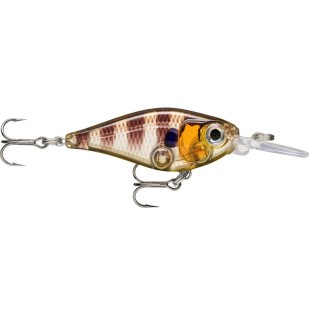 Wobler Rapala X-Light Shad 4cm/4g, GGIU