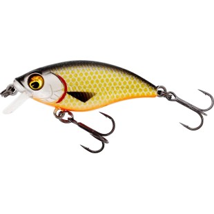 Wobler Westin BuzzBite SR Crankbait Low Floating 4cm/4g, Official Roach