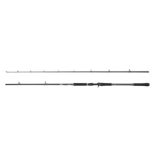 Wędka Abu Garcia Beast X Casting - 2,44m 50-180g