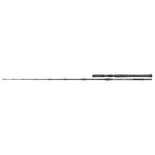 Wędka Cormoran Big Cat V-Power 2,10m 100-280g