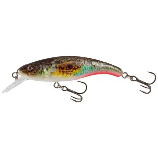 Wobler Salmo Slick Stick Floating 6cm/4,5g, Supernatural Gobie