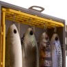 Pudełko Plano Edge Swimbait Box 3700
