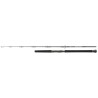 Wędka Daiwa Saltiga Jigging - 1,70m 150-300g