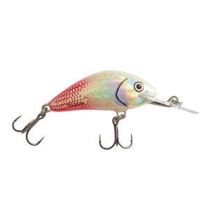Wobler Salmo Hornet Floating 4cm/3g, Bloody Tail