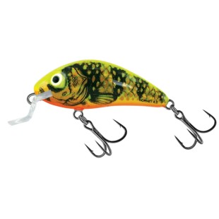 Wobler Salmo Rattlin Hornet Shallow Runner 4,5cm/5,5g, Gold Fluo Perch