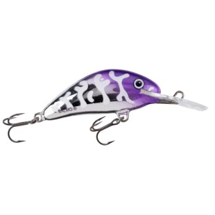 Wobler Salmo Hornet Floating, Plum Perfect
