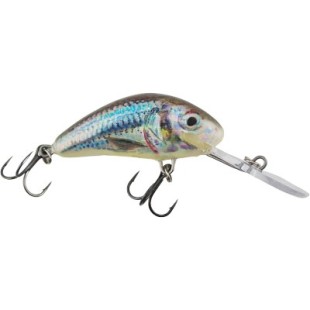 Wobler Salmo Hornet Floating, Supernatural Shiner