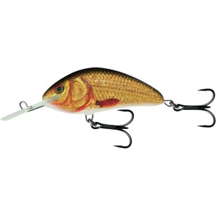 Wobler Salmo Hornet Floating, Supernatural Golden Crucian