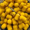 Wafters Massive Feeder Tricky Wafters 7x10mm – Sweet Corn (50ml)