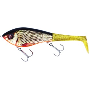 Wobler + ogon Westin Swim Tail, Real Rudd