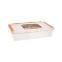 Pudełko na przynęty Iron Claw Doiyo Tool Box 35x22x7,5cm