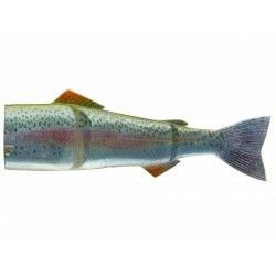 Zapasowy ogon do Woblera Daiwa Prorex Hybrid Trout 23cm, Live rainbow trout