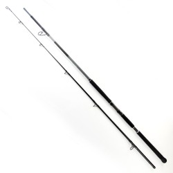 Wędka Shimano Beastmaster Catfish Static - 3,00m do 300g