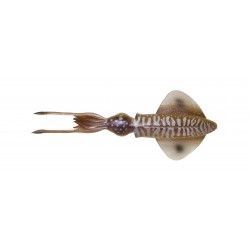 Przynęta gumowa Savage Gear 3D LB Swim Squid 9,5cm/5g, Cuttlefish (4szt.)