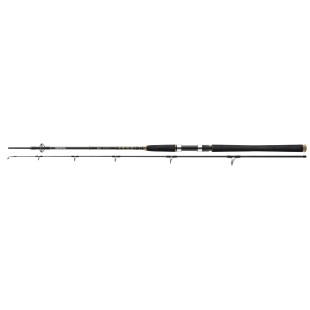 Wędka Daiwa BG Offshore - 2,70m 40-125g