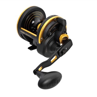 Multiplikator Penn Squall Lever Drag 60 LH