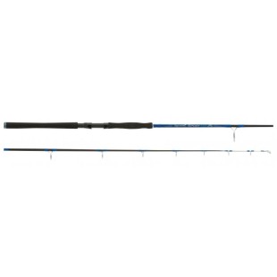 Wędka Aquantic Epoxy Tip - 2,10m 80-240g