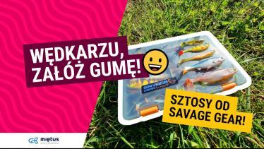 Najnowsze KILLERY na Jesienne DRAPIEŻNIKI 