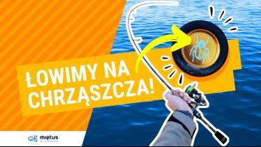 Czy da radę nad rzeką? TEST: Wędka Abu Garcia Carabus Distinct 0,8-4g I #ultralight 