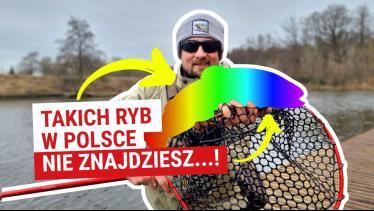 Co tam się wydarzyło…!? Normalnie Czeski film! | Dym z Hamulców!