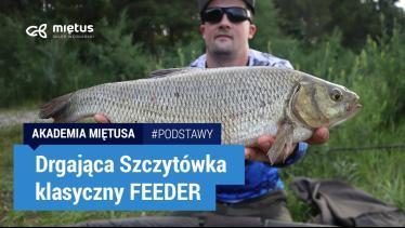 Co to jest DRGAJĄCA SZCZYTÓWKA? PODSTAWY łowienia na koszyk | Akademia MIĘTUSA