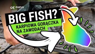 Nałapaliśmy PEŁNO KARPI! Szok! Zawody wędkarskie o puchar Łowiska Jeleśnia 